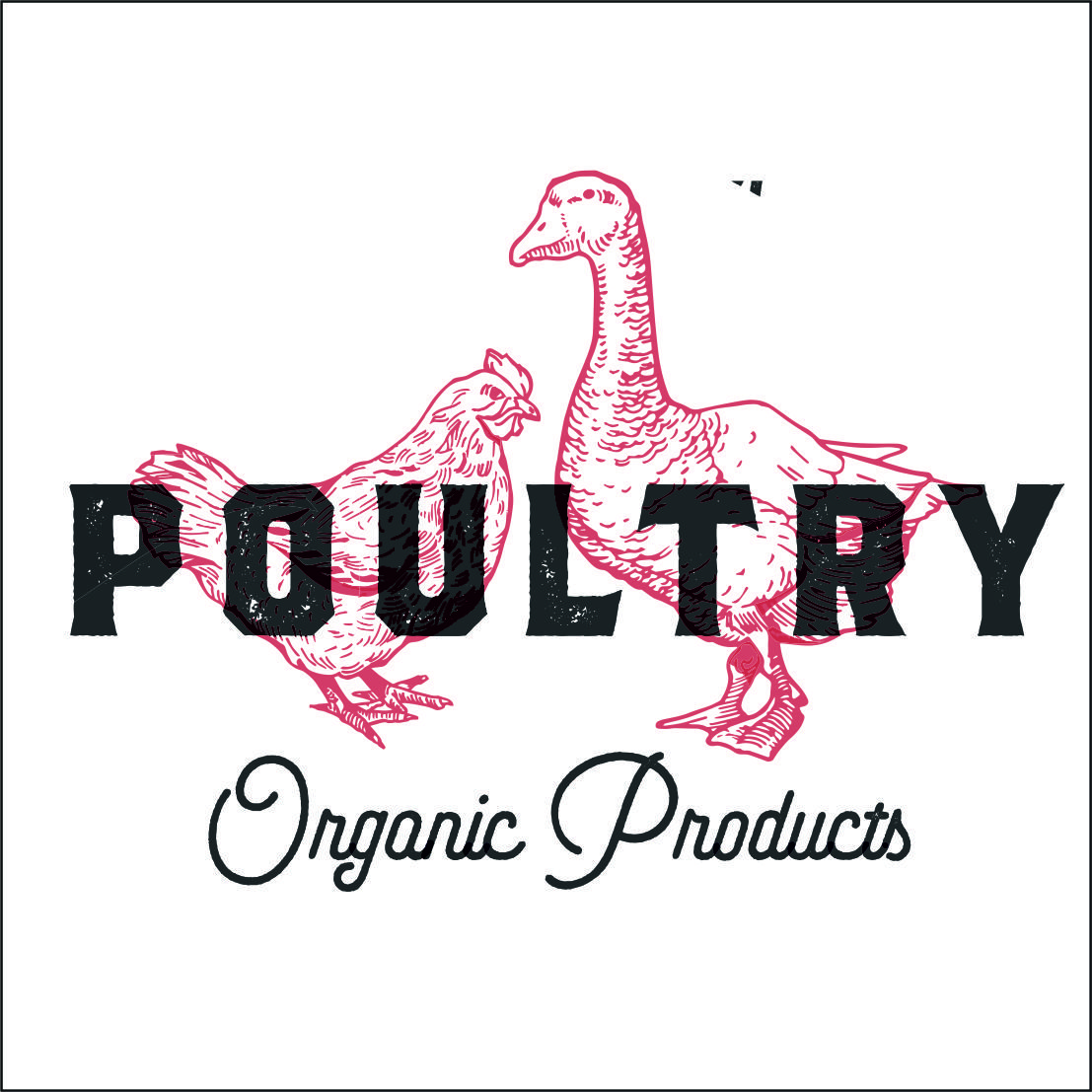 Clarico-3 Columns Style 5