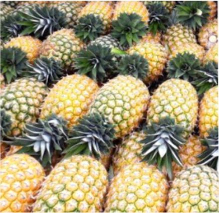 Clarico-3 Columns Style 5